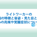 ライトワーカーの特徴と容姿と見た目