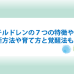 レインボーチルドレンの特徴と見た目