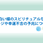 黒い蝶と白い蝶のスピリチュアルな意味とは？メッセージや幸運不吉の予兆についても！