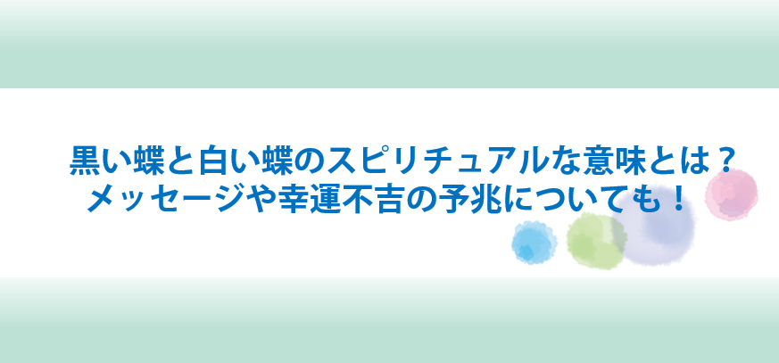 黒い蝶と白い蝶のスピリチュアルな意味とは メッセージや幸運不吉の予兆についても